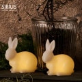 LED 饤  10cm 2ĥå SIRIUS   ̲ ƥꥢ  ʪ ӥå 襤 ۥ磻  ץ ꥦ Elin 13303 ̵ 