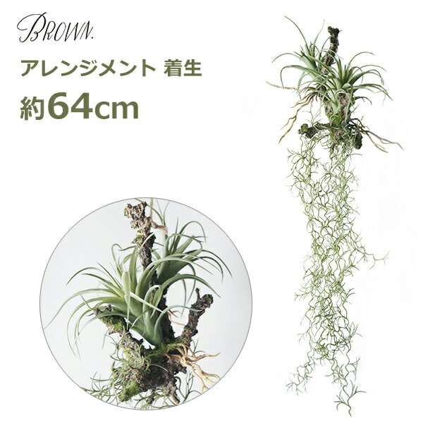 フェイクグリーン 造花 大型 64cm ロング アレンジメント 枝 着生 多肉