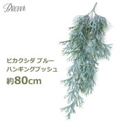 ե꡼ տʪ ͸տʪ ¤ ɳݤ  緿 80cm  ӥ  ͹ʪ ƥꥢ ϥ󥮥 ֥å ֥롼 ߤ뤹 ̵ 