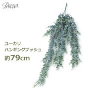 ե꡼ տʪ ͸տʪ ¤ ɳݤ  緿 80cm  桼  ͹ʪ ƥꥢ ϥ󥮥 ֥å ֥롼 ߤ뤹 餹 ̵ 