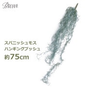 ե꡼ տʪ ͸տʪ ¤ ɳݤ  緿 75cm  ѥ˥å ⥹ ͹ʪ ƥꥢ ϥ󥮥 ֥å С ߤ뤹 ̵ 