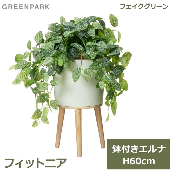光触媒 人工観葉植物 フィトニア フィットニアM フロック加工 幅40