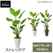 �ե��������꡼�� ���տ�ʪ �͹����տ�ʪ ¤�� �緿 ���ȥ����� GW �ץ�󥿡� 150cm ��ʪ ������� ȭ�դ� �� ����ƥꥢ ���� ���� PRGR-1148 GREENPARK 