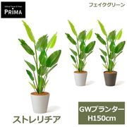 �ե��������꡼�� ���տ�ʪ �͹����տ�ʪ ¤�� �緿 ���ȥ����� GW �ץ�󥿡� 150cm ��ʪ ������� ȭ�դ� �� ����ƥꥢ ���� ���� PRGR-1148 GREENPARK 