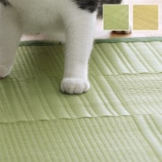 饰  ڥå    ɽ ý ȥɥ 쥸㡼 ʪ ¼ ץ ܥ꡼ ʹ1 87174cm ڥå ҥ 1090610140802 ̵ 