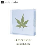 Υͥɥ ɸ ʪ   塼 襭塼  ߥ   ŷ  ܥ˥  ƥꥢ  Ω Ʃ    åԥб 