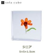 Υͥɥ ɸ ʪ   塼 襭塼 ˥ ɴ  ŷ  ܥ˥  ƥꥢ  Ω Ʃ   ڻ åԥб 