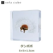 Υͥɥ ɸ ʪ   塼 襭塼 ݤ ݥ  ŷ  ܥ˥  ƥꥢ  Ω Ʃ  ڻ åԥб 