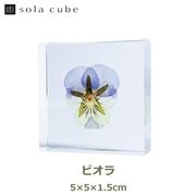 Υͥɥ ɸ ʪ   塼 襭塼 ӥ  ߥ ѥ󥸡  ŷ  ܥ˥  ƥꥢ  Ω Ʃ ڻ åԥб 