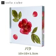 Υͥɥ ɸ ʪ   塼 襭塼 Х    å   ŷ  ܥ˥  ƥꥢ  Ω Ʃ åԥб 