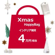 ꥹޥ ʡ 4 ƥꥢ  å  ĥ꡼ LED 饤 SIRIUS ⥳ ߥ͡ ꥦ ե ץ쥼 2025 