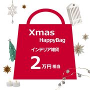 ꥹޥ ʡ 2 ƥꥢ   ǥ졼 ܤä LED 饤 SIRIUS ⥳ ߥ͡ ꥦ ե ץ쥼 2025 