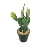 サボテン フェイク グリーン 造花 ウチワサボテン ポット 31cm 鉢 観葉