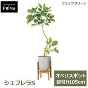 �ե��������꡼�� ���տ�ʪ �͹����տ�ʪ ¤�� �����ե��S ���٥ꥹ�ݥåȵ��� H105cm ��������� ���꡼�� ������� ��ʪ PRGR-1732W ���꡼��ѡ��� GREENPARK ����̵�� 