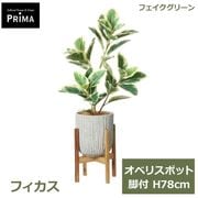 �ե��������꡼�� ���տ�ʪ �͹����տ�ʪ ¤�� �ե����� ���٥ꥹ�ݥå� ���� H78cm ������ ���� ���꡼�� ������� ��ʪ PRGR-1748W ���꡼��ѡ��� GREENPARK ����̵�� 