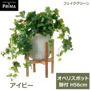 �ե��������꡼�� ���տ�ʪ �͹����տ�ʪ ¤�� �����ӡ� ���٥ꥹ�ݥå� ���� H56cm �Ĥ��� ��ʪ �͵� ���꡼�� ������� PRGR-1476W ���꡼��ѡ��� GREENPARK ����̵�� 