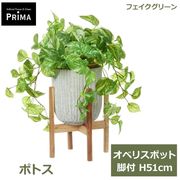 �ե��������꡼�� ���տ�ʪ �͹����տ�ʪ ¤�� �ݥȥ� ���٥ꥹ�ݥå� ���� H51cm �Ĥ��� ��ʪ �͵� ���꡼�� ������� PRGR-1478W ���꡼��ѡ��� GREENPARK ����̵�� 