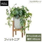 �ե��������꡼�� ���տ�ʪ �͹����տ�ʪ ¤�� �ե��åȥ˥� ���٥ꥹ�ݥå� ���� H51cm �Ĥ��� ��ʪ ���꡼�� ������� PRGR-1474W ���꡼��ѡ��� GREENPARK ����̵�� 