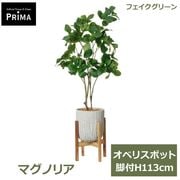 �ե��������꡼�� ���տ�ʪ �͹����տ�ʪ ¤�� �ޥ��Υꥢ �⥯��� ���٥ꥹ�ݥå� ���� H113cm ��ʪ ���꡼�� ������� PRGR-1330W ���꡼��ѡ��� GREENPARK ����̵�� 