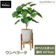 �ե��������꡼�� ���տ�ʪ �͹����տ�ʪ ¤�� ����٥顼�� ���٥ꥹ�ݥå� ���� H77cm ��ʪ ���꡼�� ������� �ϡ��ȷ� PRGR-1481W ���꡼��ѡ��� GREENPARK ����̵�� 