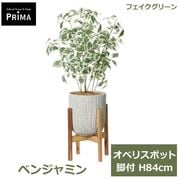 �ե��������꡼�� ���տ�ʪ �͹����տ�ʪ ¤�� �٥󥸥�ߥ� ���٥ꥹ�ݥå� ���� H84cm ��ʪ ���꡼�� ������� �֤䤫�� PRGR-1480W ���꡼��ѡ��� GREENPARK ����̵�� 