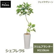 �ե��������꡼�� ���տ�ʪ �͹����տ�ʪ ¤�� �����ե��S �����ץ�󥿡� H110cm ��ʪ ���꡼�� ������� ���鴶 ���� PRGR-1733 ���꡼��ѡ��� GREENPARK ����̵�� 