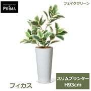 �ե��������꡼�� ���տ�ʪ �͹����տ�ʪ ¤�� �ե����� �����ץ�󥿡� H93cm ��ʪ ���꡼�� ������� ����ƥꥢ PRGR-1749 �̲� ���꡼��ѡ��� GREENPARK ����̵�� 