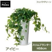 �ե��������꡼�� ���տ�ʪ �͹����տ�ʪ ¤�� �����ӡ� �����ץ�󥿡� 58cm �Ĥ��� ��ʪ ���꡼�� ������� ����ƥꥢ PRGR-1461 ���꡼��ѡ��� GREENPARK ����̵�� 