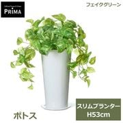 �ե��������꡼�� ���տ�ʪ �͹����տ�ʪ ¤�� �ݥȥ� �����ץ�󥿡� H53cm ��ʪ ���꡼�� ������� �͵� ����ƥꥢ PRGR-1462 ���꡼��ѡ��� GREENPARK ����̵�� 