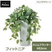 �ե��������꡼�� ���տ�ʪ �͹����տ�ʪ ¤�� �ե��åȥ˥� �����ץ�󥿡� H53cm ��ʪ ���꡼�� ������� ����ƥꥢ PRGR-1459 ���꡼��ѡ��� GREENPARK ����̵�� 