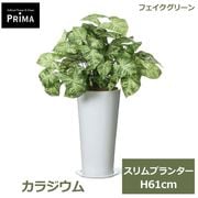 �ե��������꡼�� ���տ�ʪ �͹����տ�ʪ ¤�� ���饸���� �����ץ�󥿡� H61cm ��ʪ ���꡼�� ������� ����ƥꥢ PRGR-1464 ���꡼��ѡ��� GREENPARK ����̵�� 