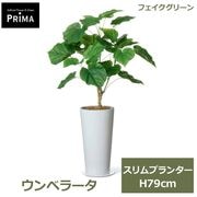 �ե��������꡼�� ���տ�ʪ �͹����տ�ʪ ¤�� ����٥顼�� �����ץ�󥿡� H79cm ��ʪ ���꡼�� ������� ����ƥꥢ PRGR-1466 ���꡼��ѡ��� GREENPARK ����̵�� 