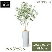 �ե��������꡼�� ���տ�ʪ �͹����տ�ʪ ¤�� �٥󥸥�ߥ� �����ץ�󥿡� H86cm ��ʪ ���꡼�� ������� ����ƥꥢ PRGR-1465 ���꡼��ѡ��� GREENPARK ����̵�� 