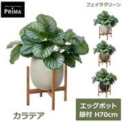 �ե��������꡼�� ���տ�ʪ �͹����տ�ʪ ¤�� ����ƥ� ���å��ݥå� ���� H70cm ��ʪ ���꡼�� �͵� ������� ����ƥꥢ PRGR1636W ���꡼��ѡ��� GREENPARK ����̵�� 