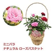 ����� �� �� �ߥ˥Х� �ʥ����� �Х����å� �󤻿��� ���襤�� ����ץ� �� ���� ȭ���� �ե� �ߥ� ���ե� ������ ���� ����Х�� HITAX �� �����ǥ˥� ��� ��ʪ ���ե� ����̵�� 