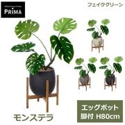 �ե��������꡼�� ���տ�ʪ �͹����տ�ʪ ¤�� ��󥹥ƥ� ���å��ݥå� ���� H80cm ��ʪ ���꡼�� ������� ����ƥꥢ PRGR-1638W ���꡼��ѡ��� GREENPARK ����̵�� 