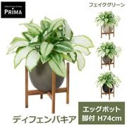 �ե��������꡼�� ���տ�ʪ �͹����տ�ʪ ¤�� �ǥ��ե���Х��� ���å��ݥåȵ��� H74cm ��ʪ ���꡼�� �͵� ����ƥꥢ PRGR-1640W ���꡼��ѡ��� GREENPARK ����̵�� 