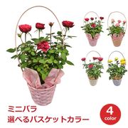 ����� �� �� �ߥ˥Х� ����ե� �Х����å� �󤻿��� ���襤�� ����ץ� �� ���� ȭ���� �ե� �ߥ� ���ե� ������ ���� ����Х�� HITAX �� �����ǥ˥� ��� ��ʪ ���ե� ����̵�� 