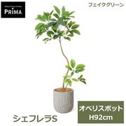 �ե��������꡼�� ���տ�ʪ �͹����տ�ʪ ¤�� �����ե��S ���٥ꥹ�ݥå� H92cm ��ʪ ���꡼�� ������� �͵� �͹���ʪ PRGR-1732 ���꡼��ѡ��� GREENPARK ����̵�� 