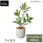 �ե��������꡼�� ���տ�ʪ �͹����տ�ʪ ¤�� �ե����� ���٥ꥹ�ݥå� H65cm ��ʪ ���꡼�� ������� �͵� �͹���ʪ �̲� PRGR-1748 ���꡼��ѡ��� GREENPARK ����̵�� 