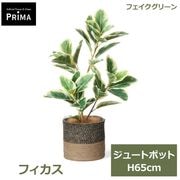 �ե��������꡼�� ���տ�ʪ �͹����տ�ʪ ¤�� �ե����� ���塼�ȥݥå� 65cm ��ʪ ���꡼�� ������� ����ƥꥢ �ե����� PRGR-1750 ���꡼��ѡ��� GREENPARK ����̵�� 