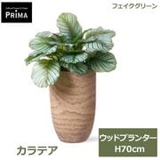 �ե��������꡼�� ���տ�ʪ �͹����տ�ʪ ¤�� ����ƥ� ���åɥץ�󥿡� 70cm ��ʪ ���꡼�� �ե����� �͵� ������� PRGR-1690 eco ���꡼��ѡ��� GREENPARK ����̵�� 