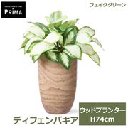 �ե��������꡼�� ���տ�ʪ �͹����տ�ʪ ¤�� �ǥ��ե���Х��� ���åɥץ�󥿡� H74cm ��ʪ ���꡼�� �ե����� ������� PRGR-1691 ���꡼��ѡ��� GREENPARK ����̵�� 