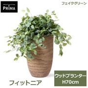 �ե��������꡼�� ���տ�ʪ �͹����տ�ʪ ¤�� �ե��åȥ˥� ���åɥץ�󥿡� H70cm ��ʪ ���꡼�� �ե����� ������� PRGR-1693 ���꡼��ѡ��� GREENPARK ����̵�� 