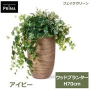 �ե��������꡼�� ���տ�ʪ �͹����տ�ʪ ¤�� �����ӡ� ���åɥץ�󥿡� H70cm ��ʪ ���꡼�� �ե����� ������� �͵� PRGR-1694 ���꡼��ѡ��� GREENPARK ����̵�� 