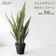 �ե��������꡼�� 56cm �ܥ��ȥ�ե����� �ͥե���ԥ� �ݥå� ¤�� ȭ Brown �֥饦�� �ե����� ���� ���� ��ʪ �͹� ���տ�ʪ ����ƥꥢ ��ӥ� ���꡼�� ����̵�� 