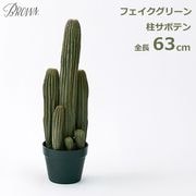 �쥵�ܥƥ� 63cm �ե��������꡼�� ¤�� ����ƥꥢ ������� �͹� ���տ�ʪ �������� ������������ �Ϥ�ʤ���ʪ �ȥ��ʤ� �緿 ȭ�դ� ���襤�� ¸�ߴ� ����̵�� 