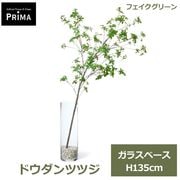 �ե��������꡼�� ���տ�ʪ �͹����տ�ʪ ¤�� �ɥ�����ĥĥ� ���饹�������� H135cm ��ʪ ���꡼�� �ե����� ������� PRGR-1453 ���꡼��ѡ��� GREENPARK ����̵�� 