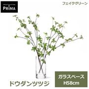 �ե��������꡼�� ���տ�ʪ �͹����տ�ʪ ¤�� �ɥ�����ĥĥ� ���饹�١��� H58cm ��ʪ ���꡼�� �ե����� ������� PRGR-1661 �͵� ���꡼��ѡ��� GREENPARK ����̵�� 