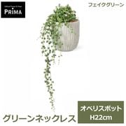 �ե��������꡼�� ���տ�ʪ �͹����տ�ʪ ¤�� ��� ���꡼�� �ե����� ���꡼��ͥå��쥹 ���٥ꥹ�ݥå� S H22cm �ơ��֥륰�꡼�� ��ʪ PRGR-1650GREENPARK ����̵�� 